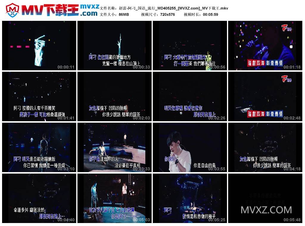 赵雷-阿刁_国语_流行_MD405255